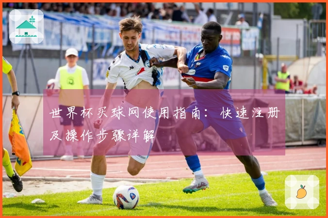 世界杯买球网使用指南：快速注册及操作步骤详解