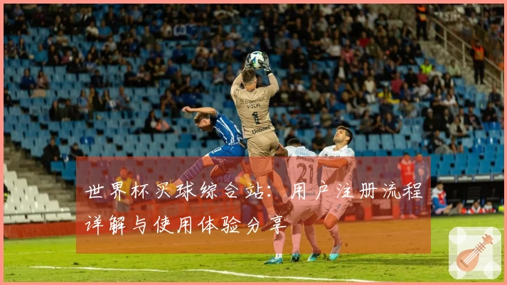 世界杯买球综合站：用户注册流程详解与使用体验分享