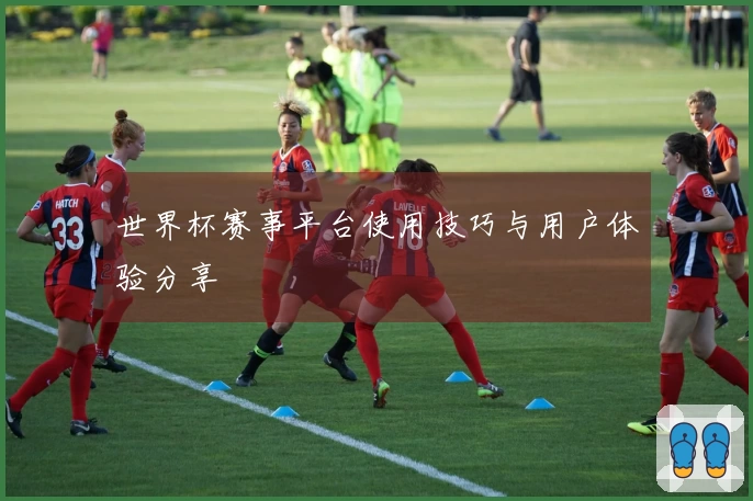 世界杯赛事平台使用技巧与用户体验分享